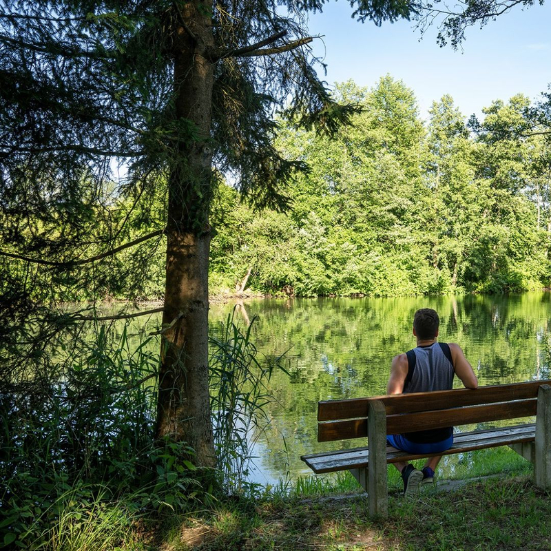 Eine Person sitzt auf einer Bank und blickt auf die Roter Weiher, während zwei Menschen auf einem Weg daneben joggen.