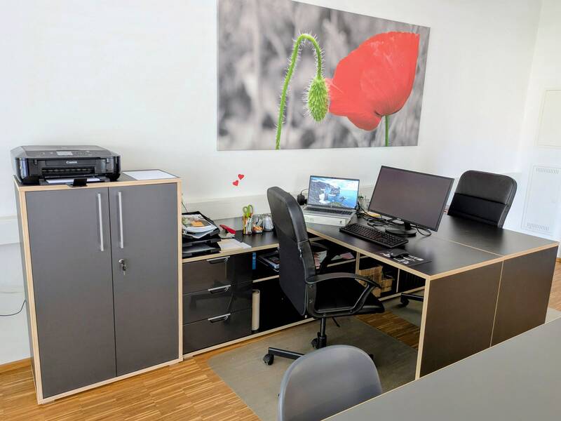 Ein modernes Büro mit einem L-förmigen Schreibtisch, zwei Monitoren, einem Laptop, einem Drucker auf einem Aktenschrank und einem großen Wandbild von einer roten Blume.