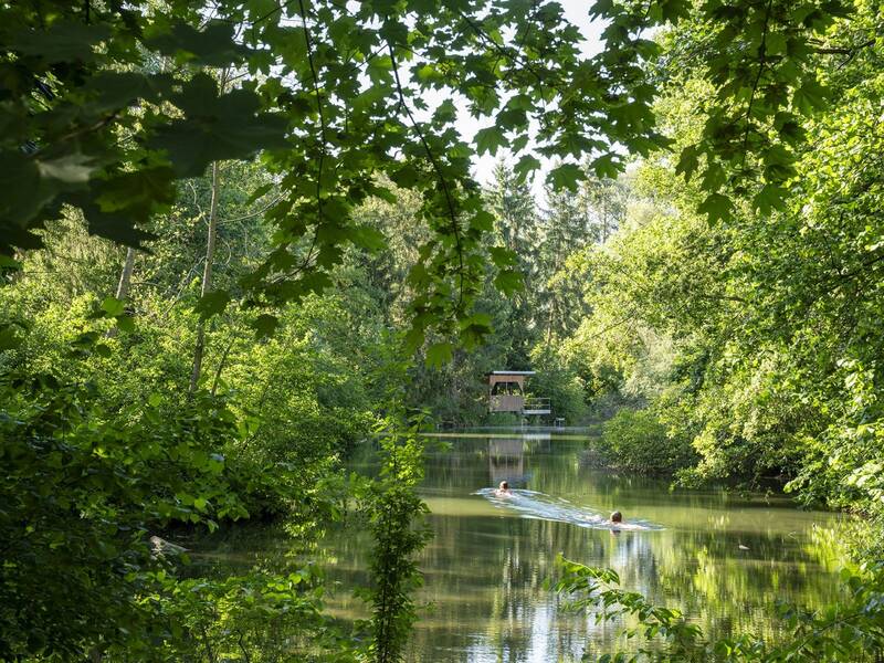 Zwei Personen schwimmen im Roter Weiher