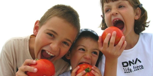 Programm für Kinder